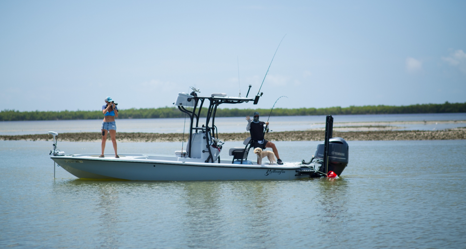 Snook Fishing Tactics - SocializeBlog